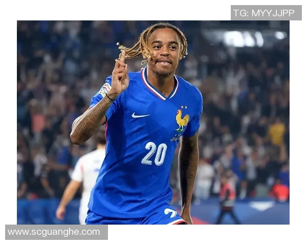 法国与威尔士精彩对决录像回放分析与精彩瞬间回顾